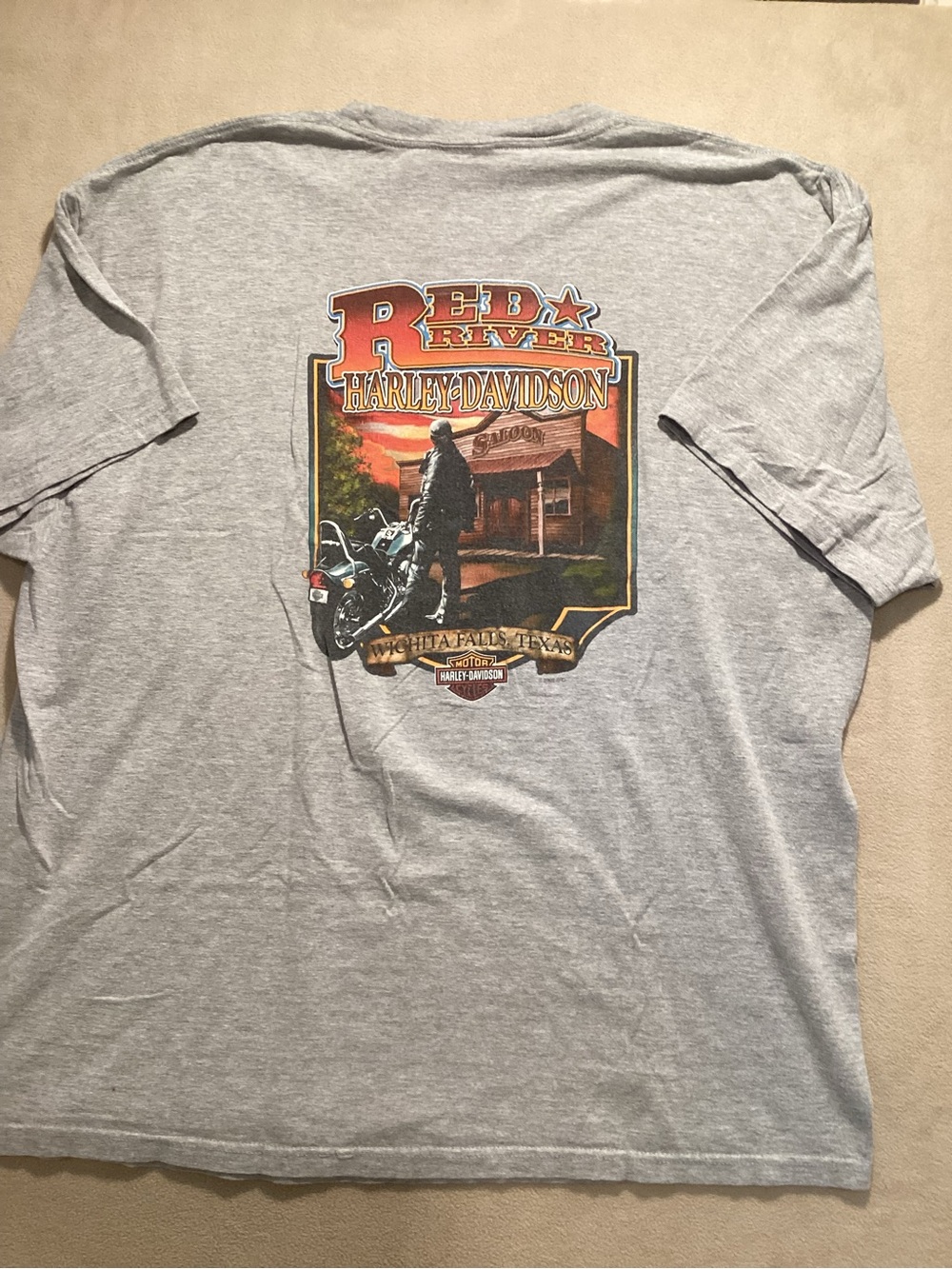 Harley-Davidson Gray Tee with Red and Orange Scenic Motorcycle Graphic